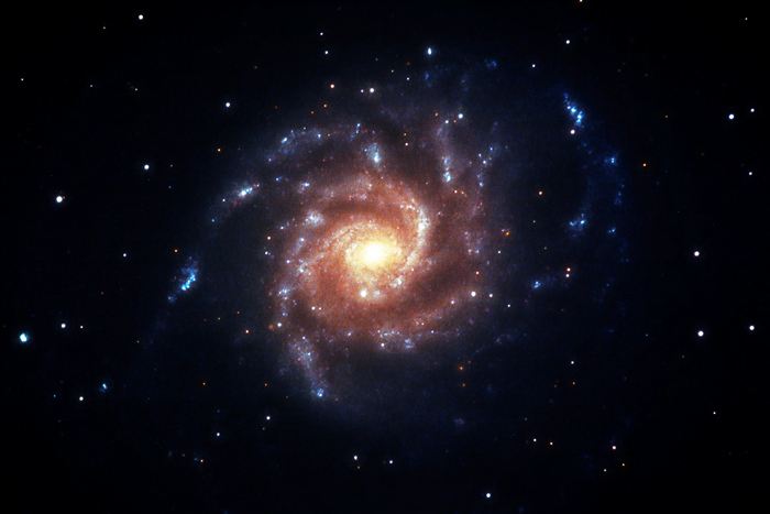 The Pinwheel Galaxy