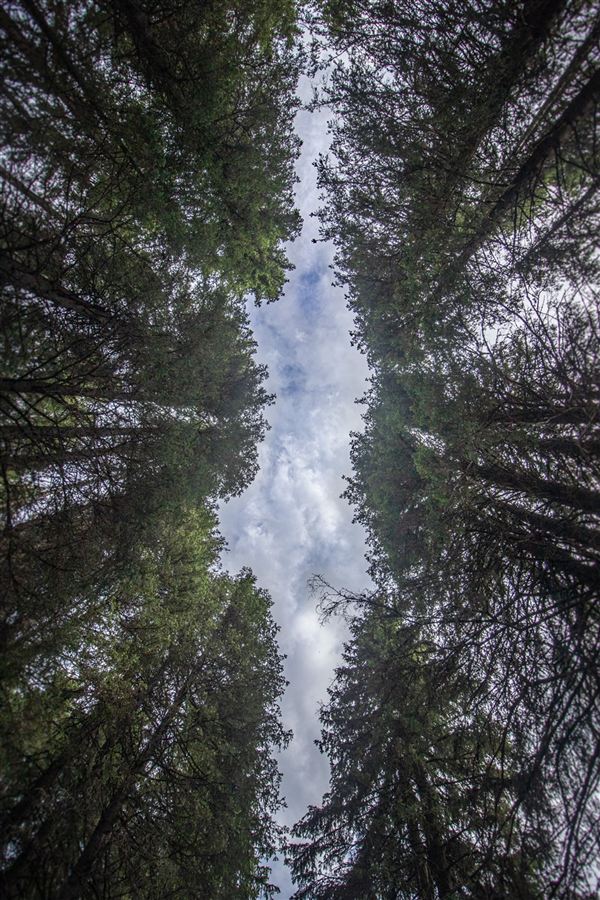 Photograph by Erik Vlad