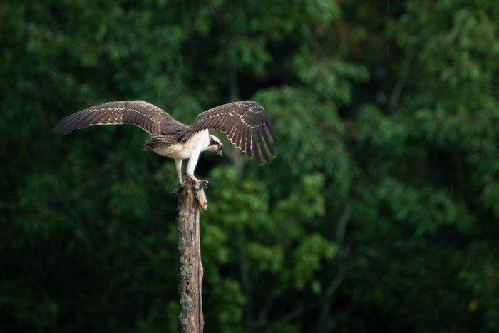 North Carolina, photo 15 of 21