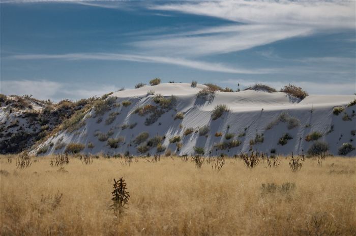 Grass field at White Sands