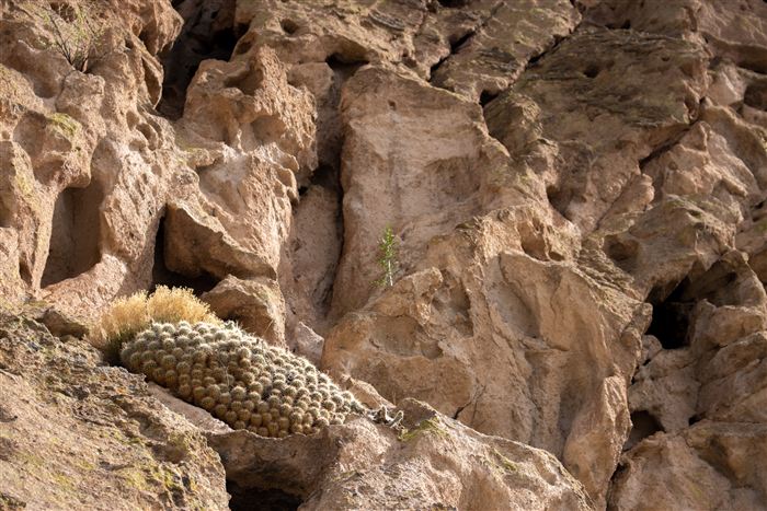 New Mexico, photo 15 of 40
