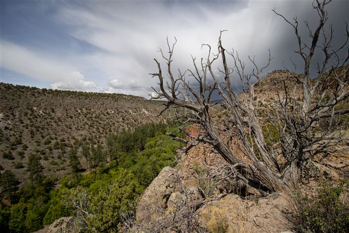 New Mexico, photo 17 of 40