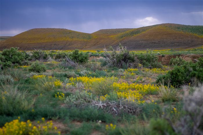 New Mexico, photo 21 of 40