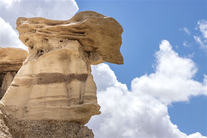 New Mexico, photo 29 of 40