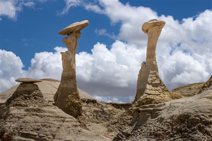 New Mexico, photo 31 of 40