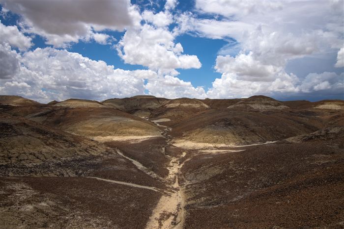 New Mexico, photo 33 of 40