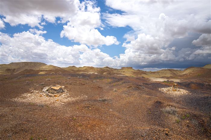 New Mexico, photo 34 of 40