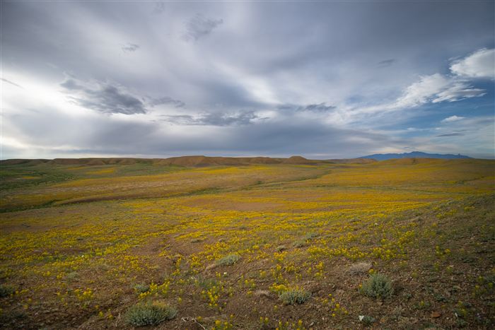 New Mexico, photo 39 of 40