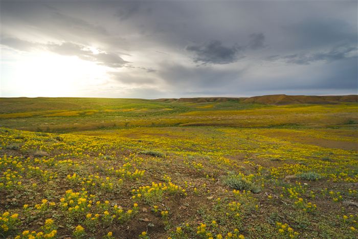 New Mexico, photo 40 of 40