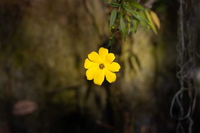 Okefenokee, photo 48 of 62