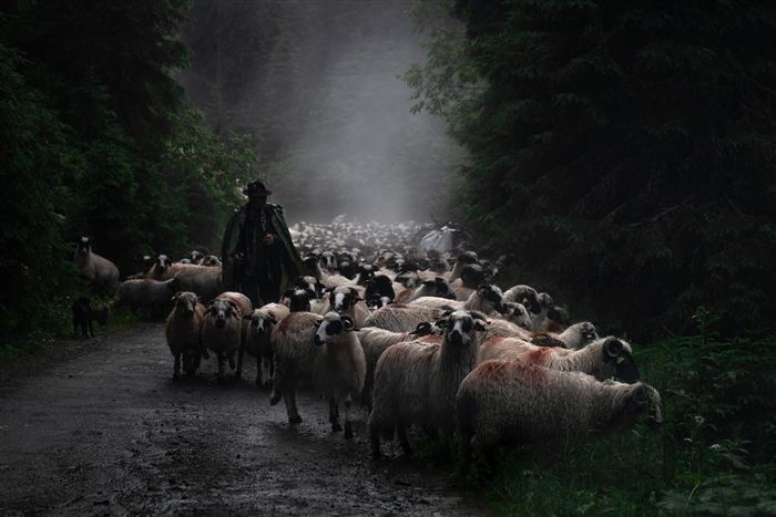 Romania, photo 22 of 24