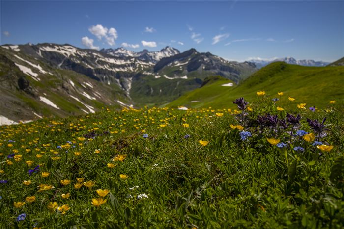 Switzerland, photo 19 of 34