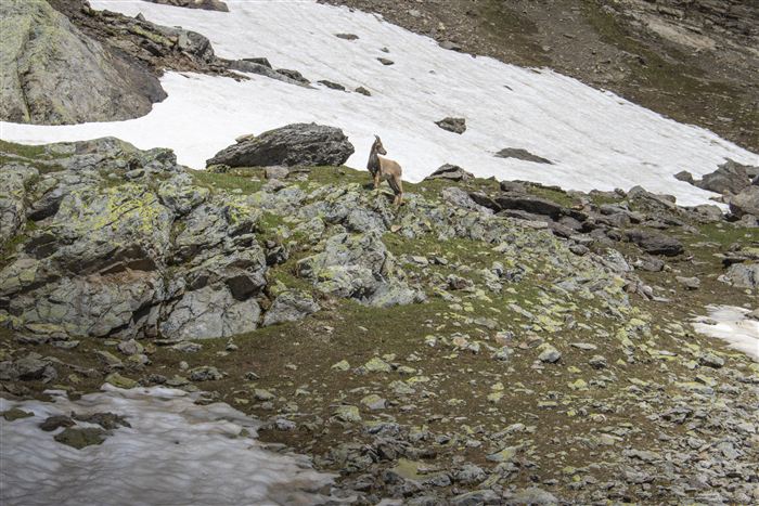 Switzerland, photo 20 of 34