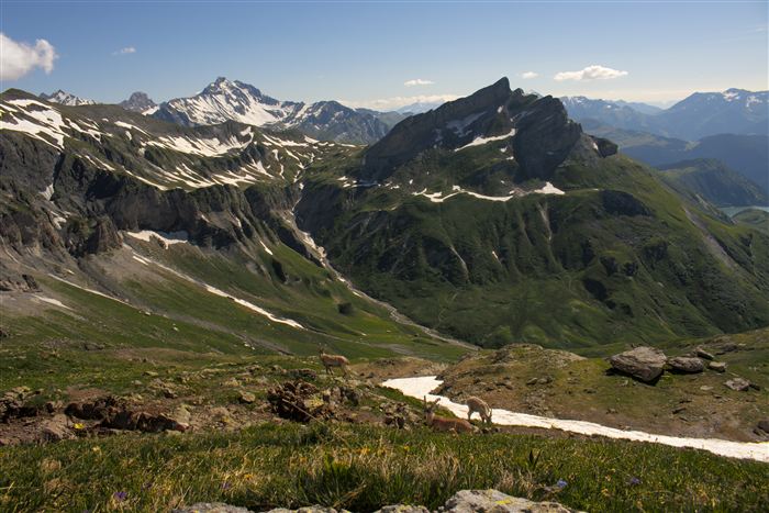 Switzerland, photo 21 of 34