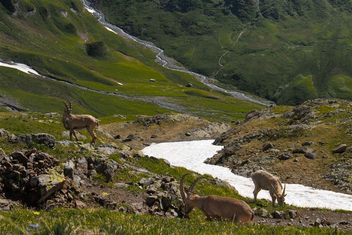 Switzerland, photo 22 of 34